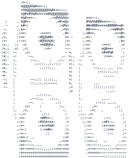A graphics card, drawn in ASCII.