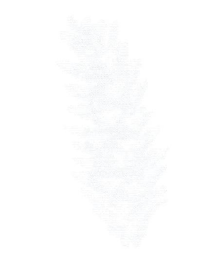 A seed head, drawn in ASCII.