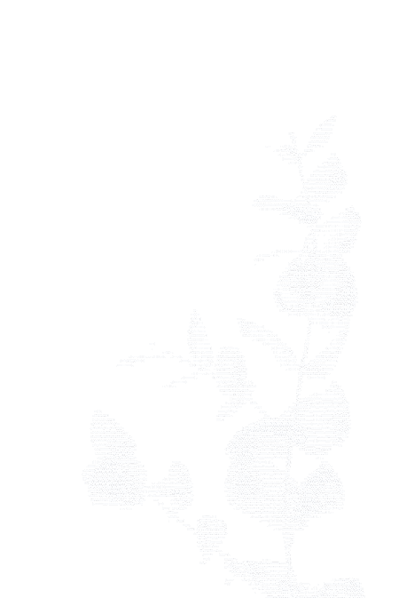 A eucalyptus sprig, drawn in ASCII.